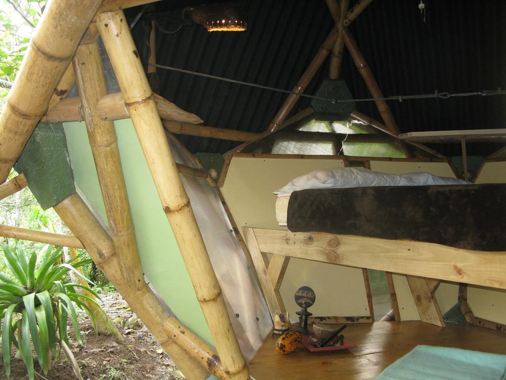 Kasaguadua - Reserva Natural Salento Room photo