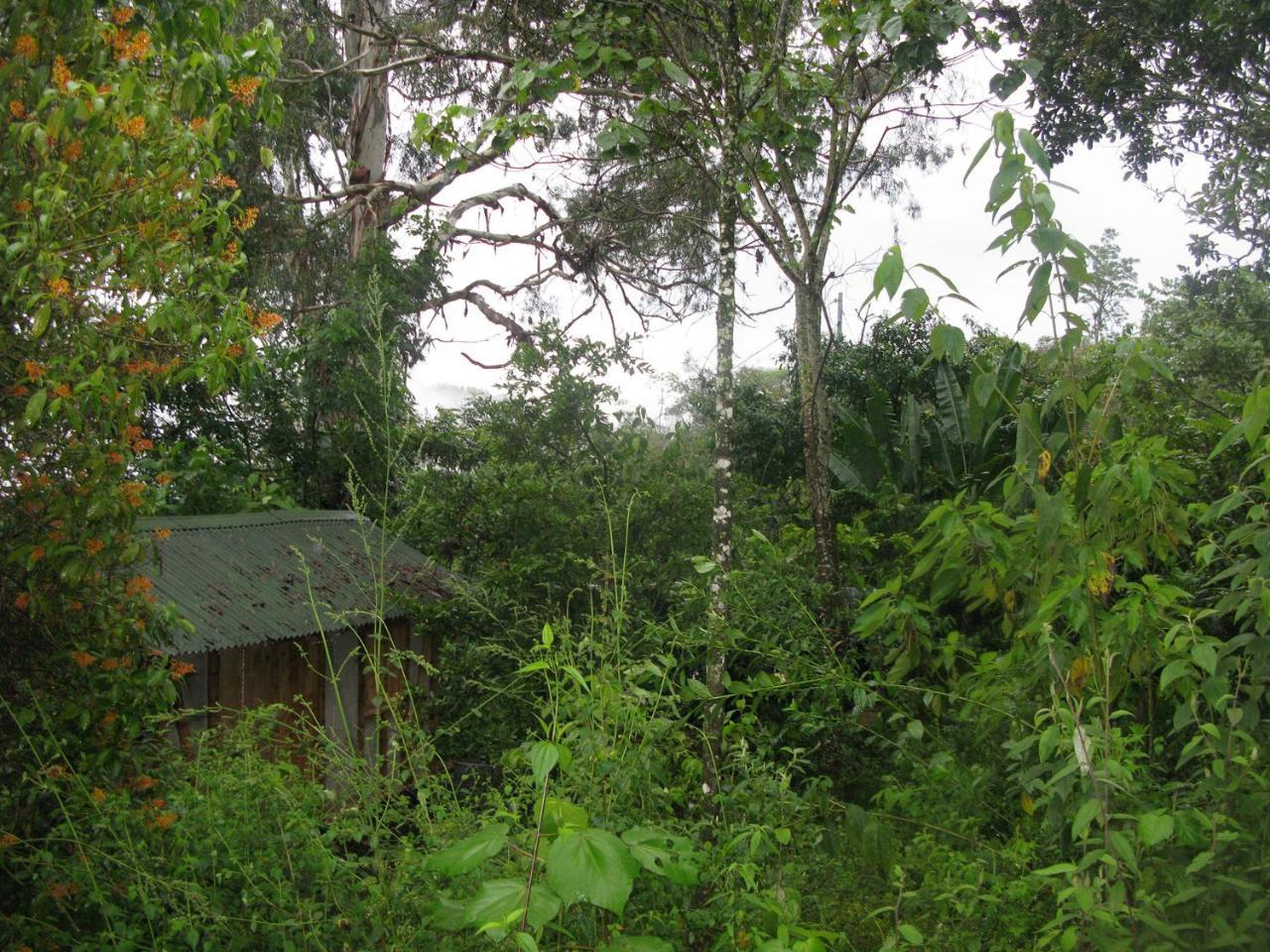 Kasaguadua - Reserva Natural Salento Exterior photo
